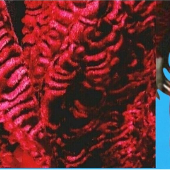 Vintage Red Velvet Textured Coat Jacket Mercedes New York Sz 14 USA Made Y2K - Picture 3 of 10